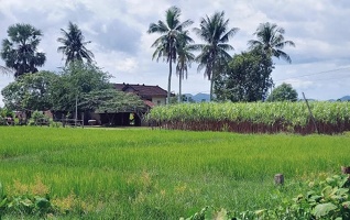 Cambodia012