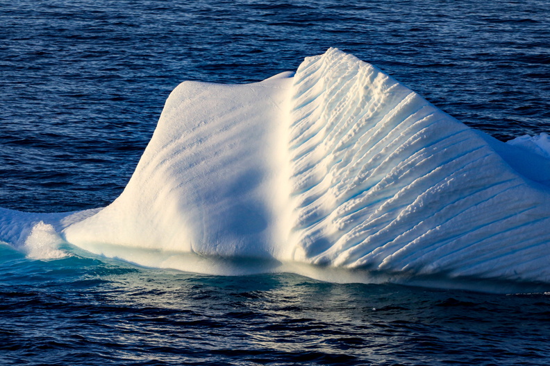 Antarctica Trip 2020 # (43)